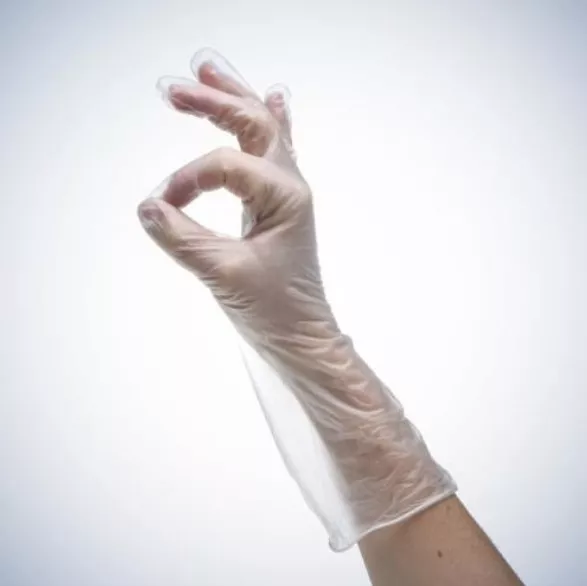 10er-Pack Ampri Eco Plus Einmalhandschuhe Vinyl puderfrei - Größe L