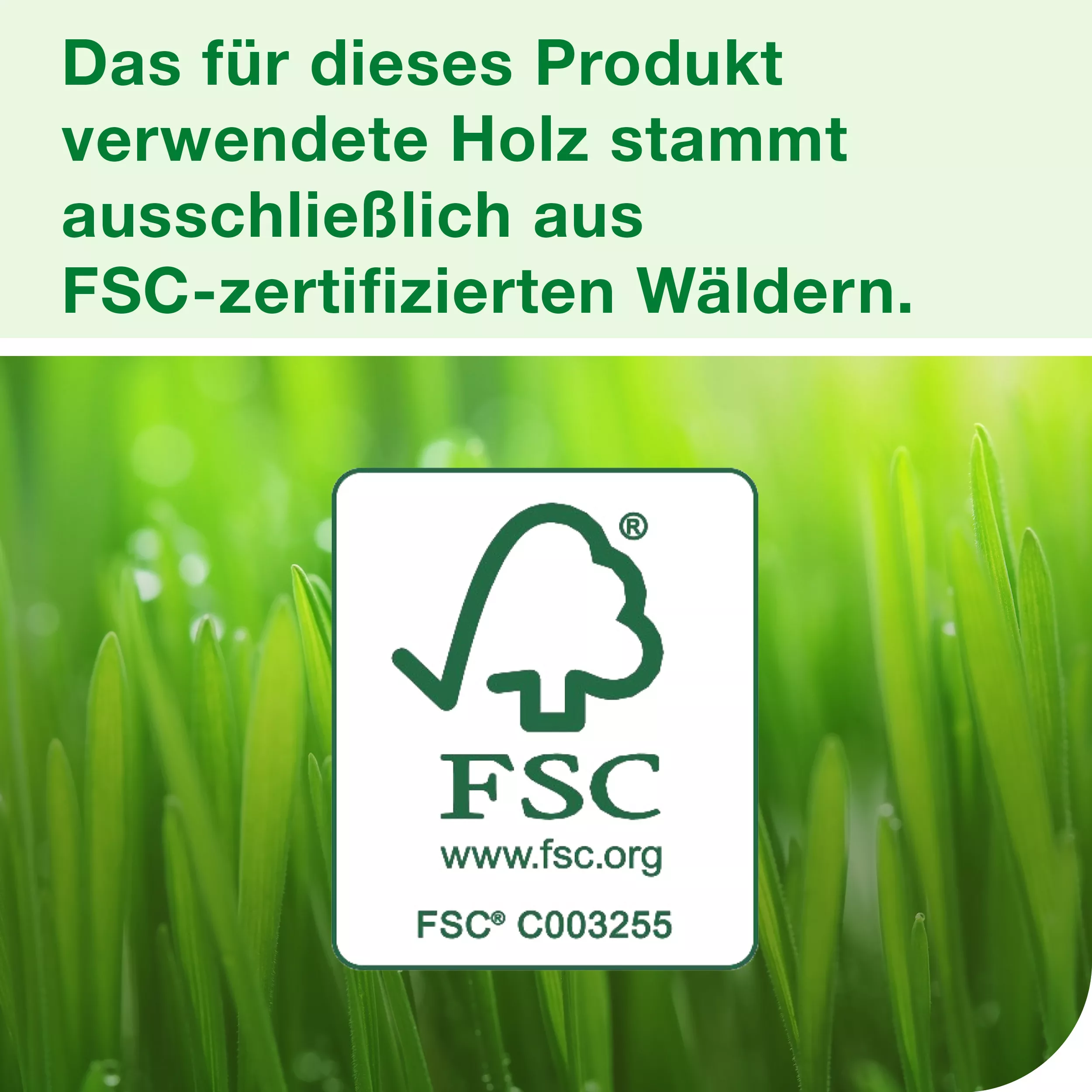Tork Xpressnap® Tischspender Walnuss N4, kompakt, Image Linie, 19,3 cm × 20,3 cm × 13,6 cm, 273002