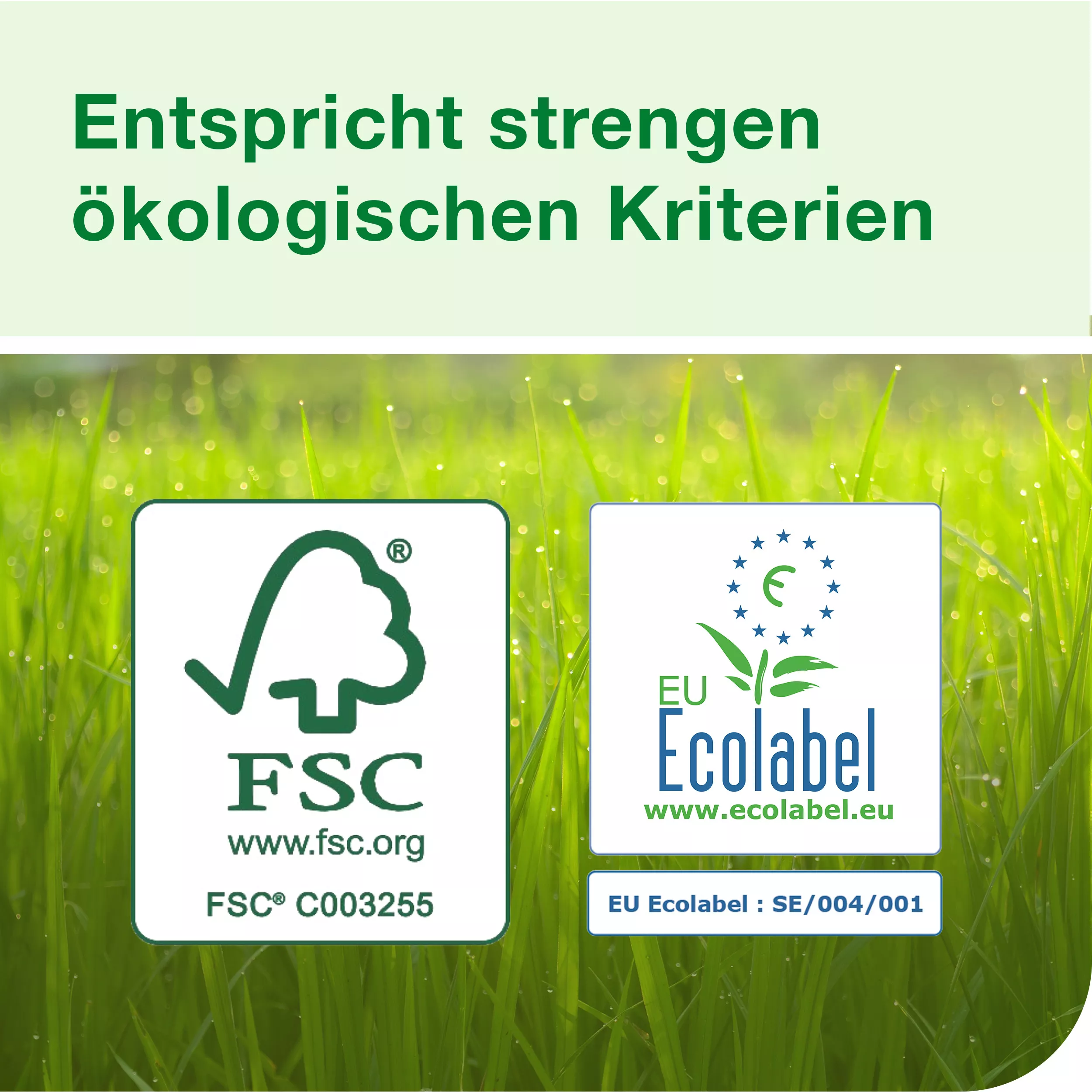 Tork extra weiches Kleinrollen Toilettenpapier Weiß T4, Premium, 4‑lagig, 42 × 150 Blatt, 110406